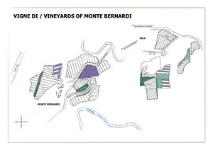 MONTE BERNARDI - 2021 Chianti Classico DOCG Riserva