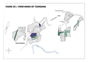 TZINGANA - annate storiche - IGT Colli della Toscana Centrale Rosso