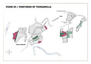 TZINGARELLA - 2022 IGT Colli della Toscana Centrale Rosso